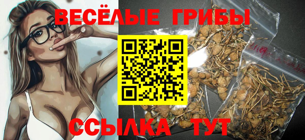 Псилоцибиновые грибы Magic Shrooms Воткинск