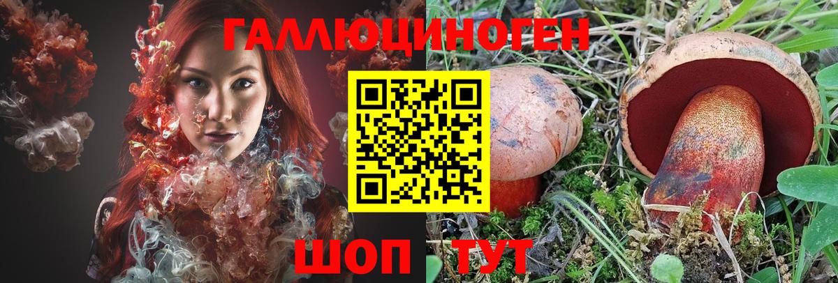 Воткинск  Псилоцибиновые грибы Psilocybine cubensis  Вход с VPN 